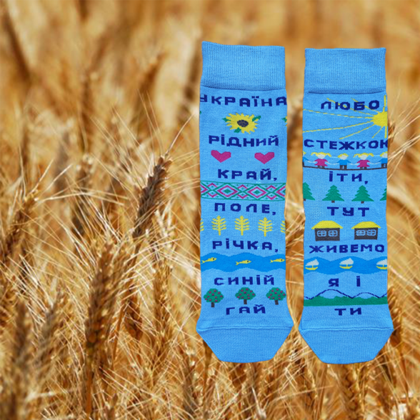 Шкарпетки «Україна рідний край»